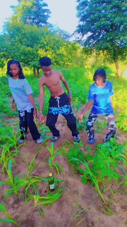 TikTok video thumbnail by seismoger.joshuu