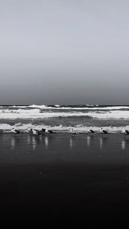 TikTok video thumbnail by khalidjamalabdull