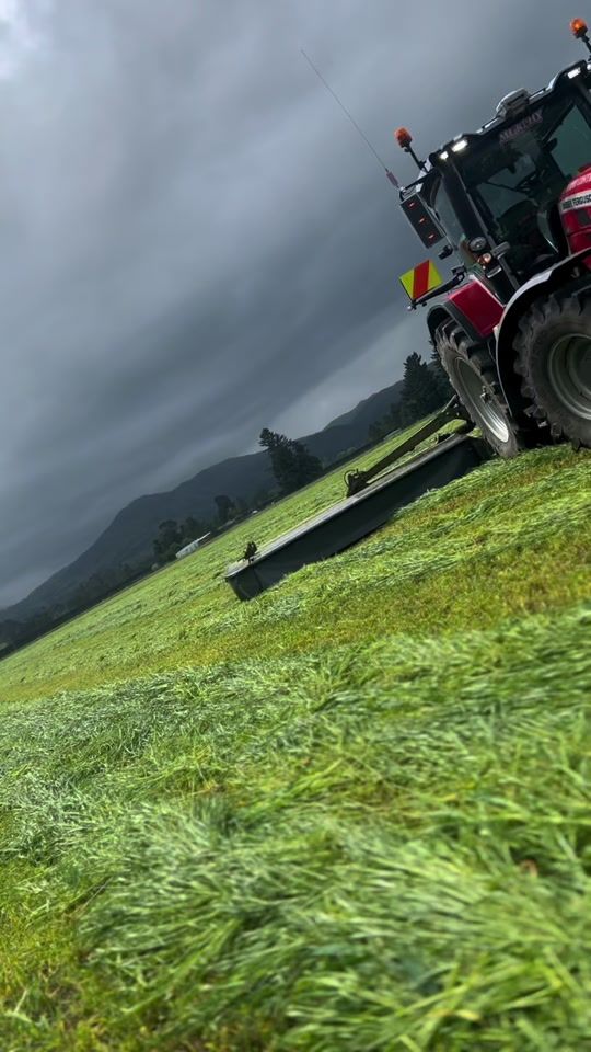 TikTok video thumbnail by toddmurphy77