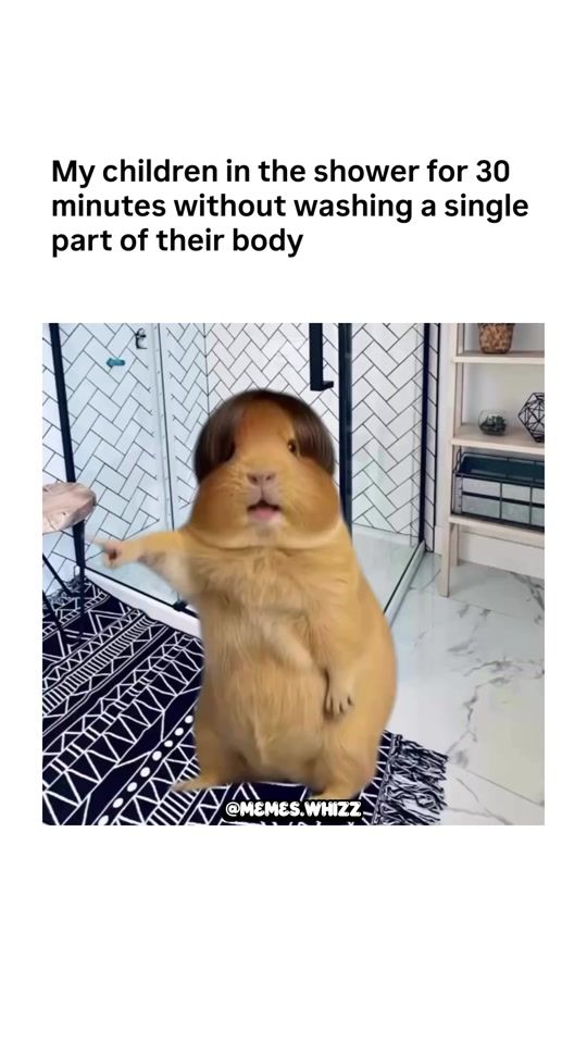 TikTok video thumbnail by memes.whizz