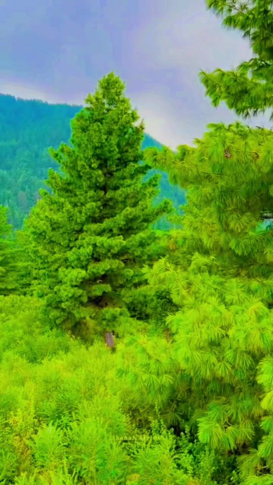 TikTok video thumbnail by muxtar019