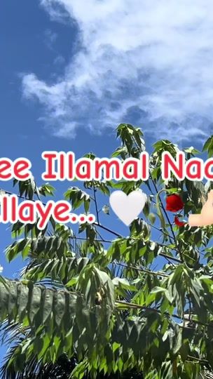TikTok video thumbnail by hamshika_49