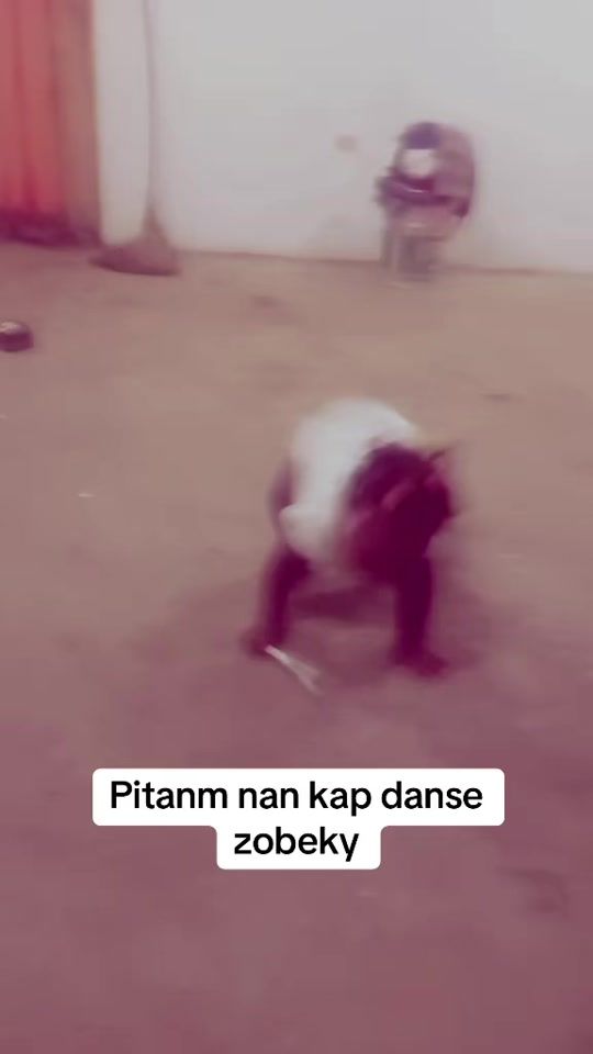 TikTok video thumbnail by viyaypi6