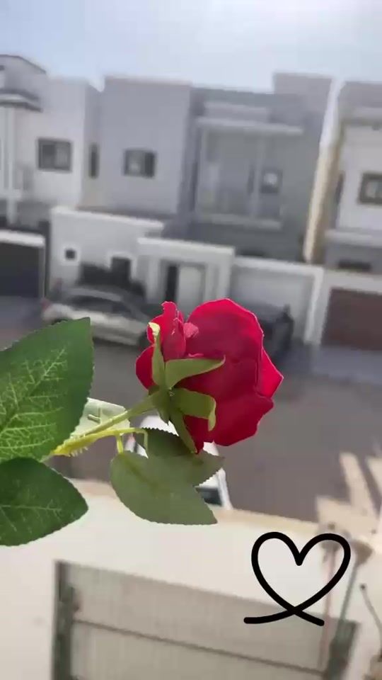 TikTok video thumbnail by whose.sajide