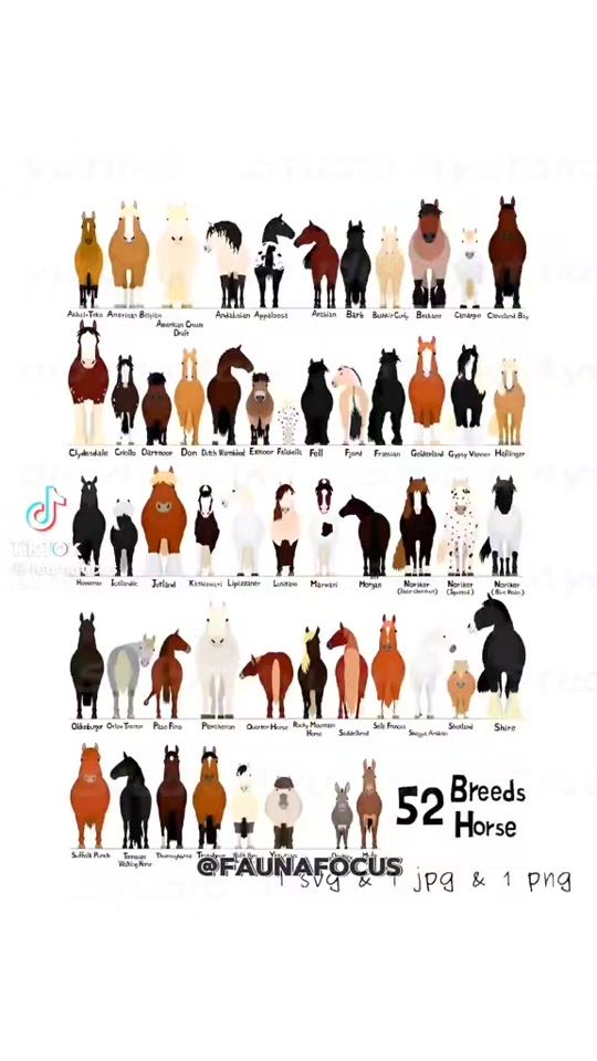 TikTok video thumbnail by ozcan_kars36