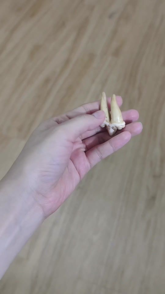 TikTok video thumbnail by ploy_dow89
