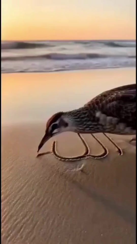TikTok video thumbnail by akashan.31