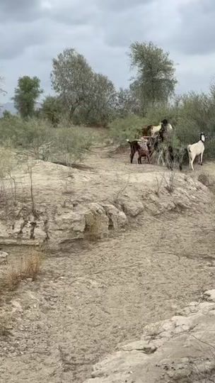 TikTok video thumbnail by fahad_dazeni