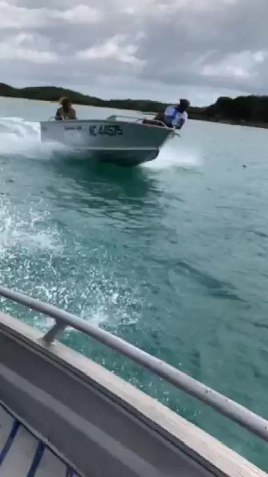 TikTok video thumbnail by htmwp_319