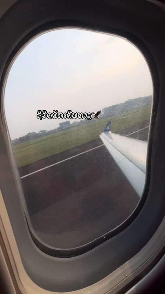 TikTok video thumbnail by px62577