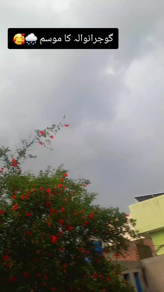 TikTok video thumbnail by anmolpunchi2