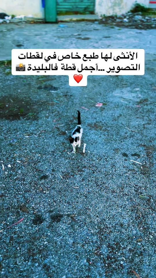 TikTok video thumbnail by blidaphoto