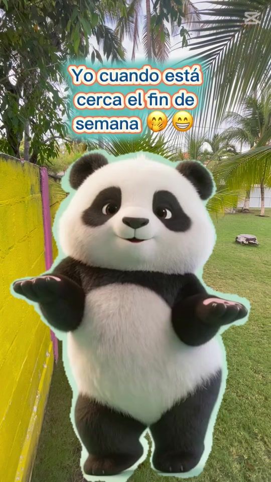 TikTok video thumbnail by _rancho_los_delfines_