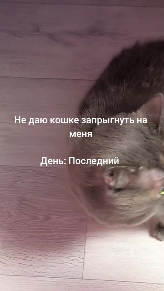 TikTok video thumbnail by serezha.ak