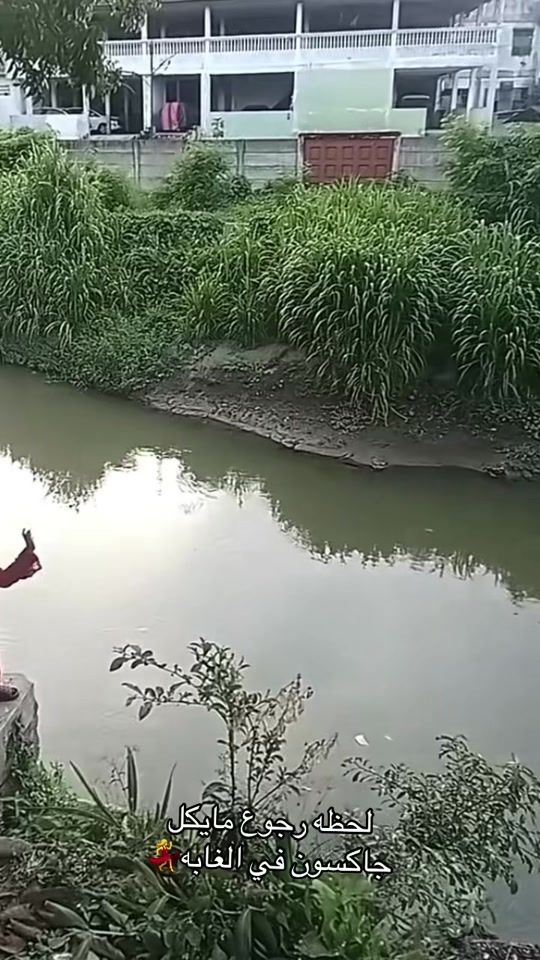 TikTok video thumbnail by saboha409