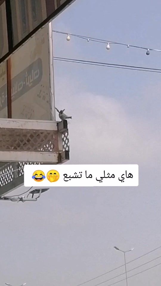 TikTok video thumbnail by heuusyy2