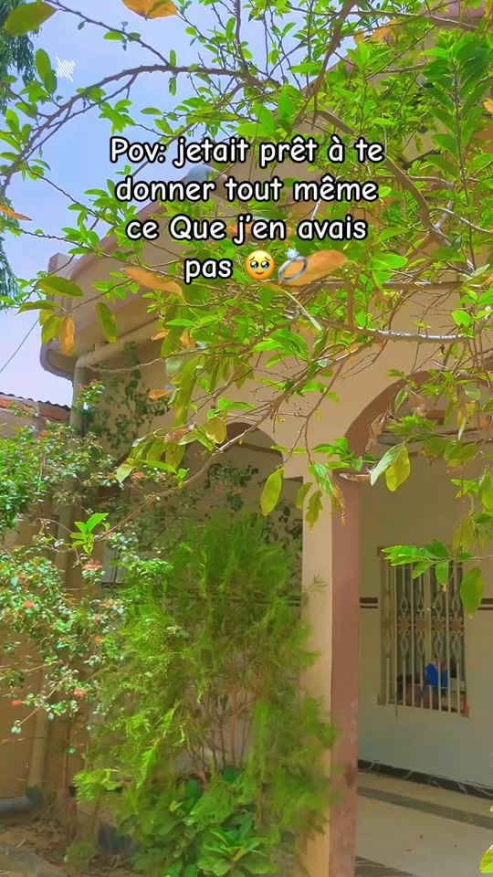 TikTok video thumbnail by aliwoulete2