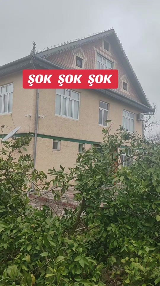 TikTok video thumbnail by elvin___510