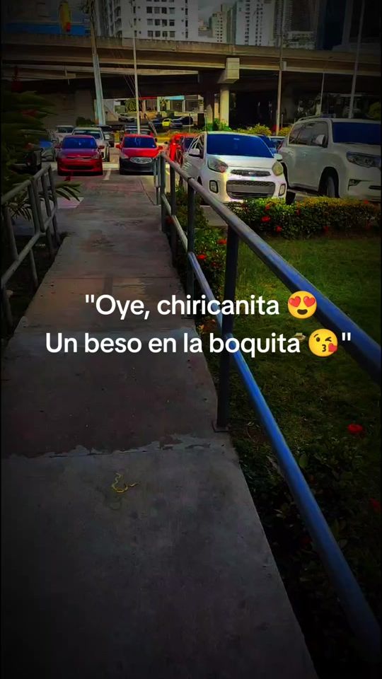 TikTok video thumbnail by toptipico