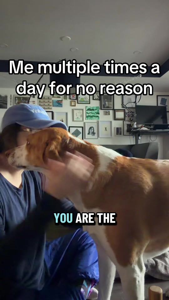 TikTok video thumbnail by linds.chris