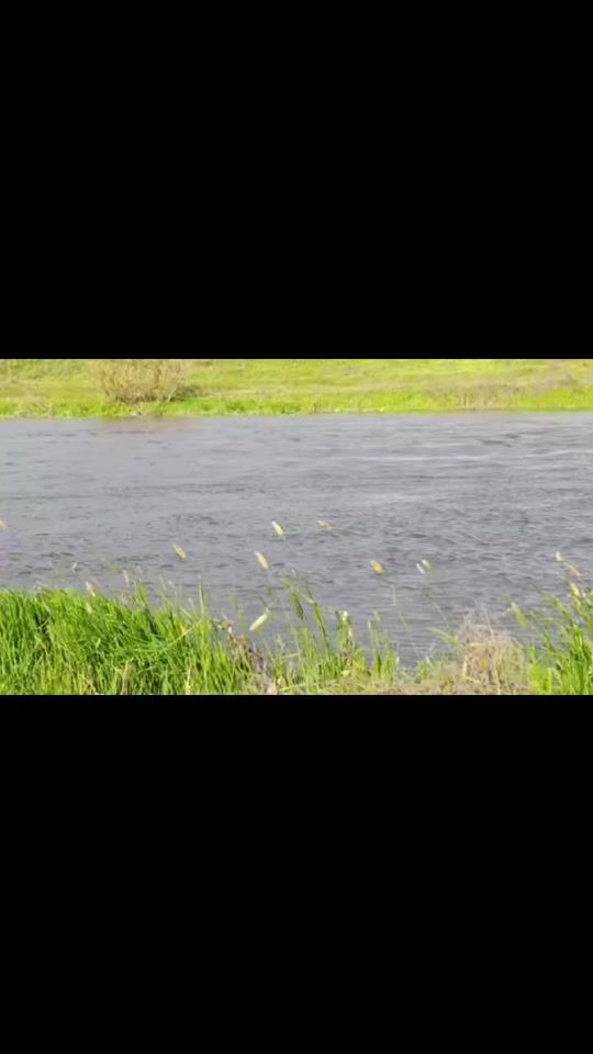 TikTok video thumbnail by user_17_04_87_