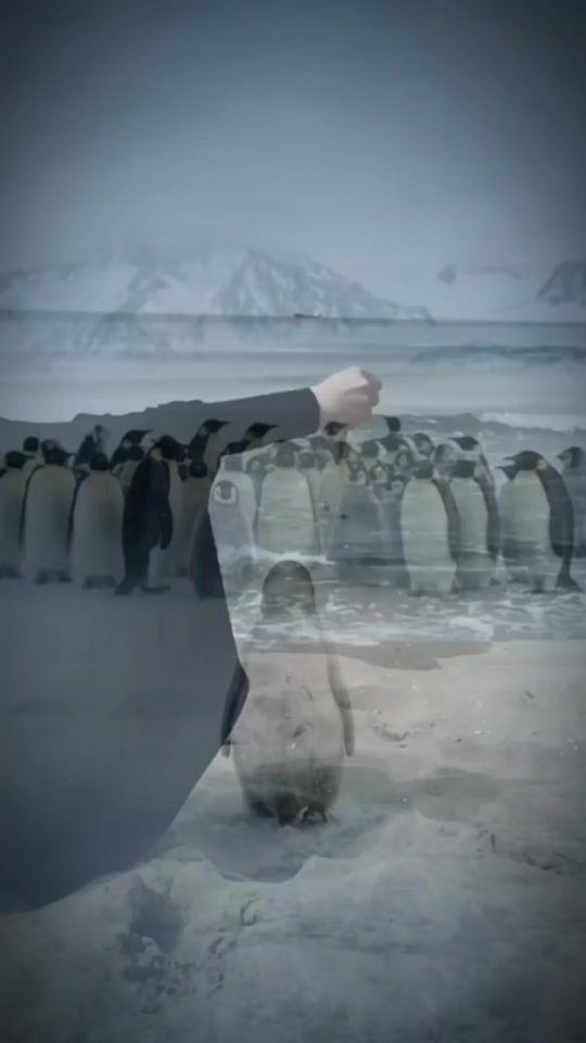 TikTok video thumbnail by 8st___313
