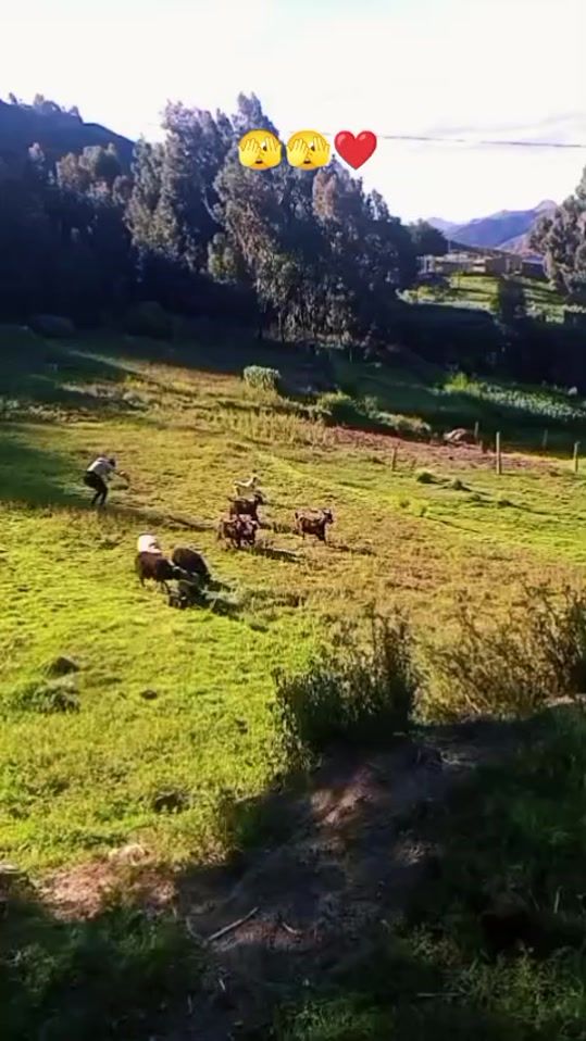 TikTok video thumbnail by rossy.894
