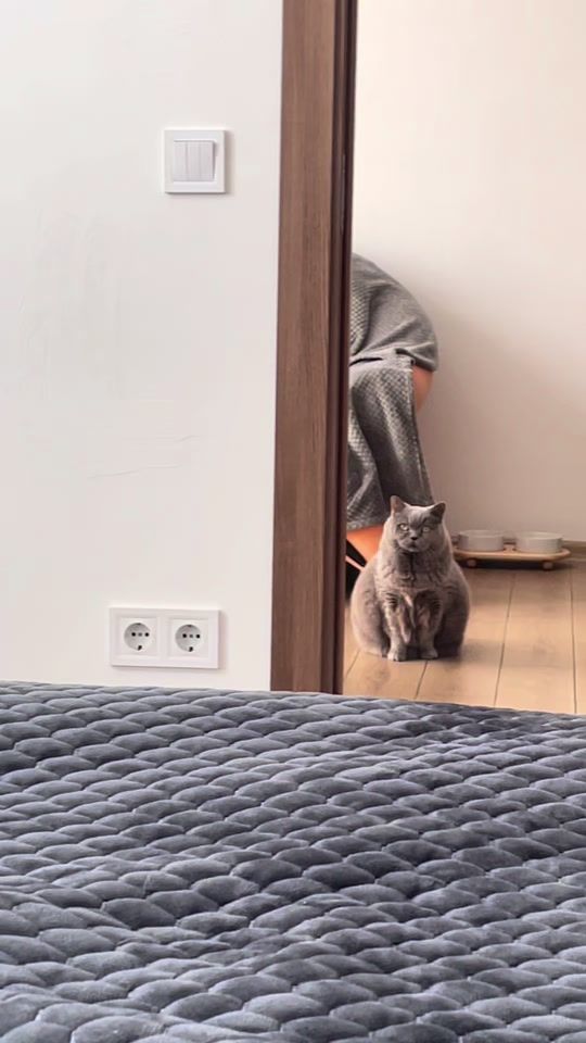 TikTok video thumbnail by iamkeska