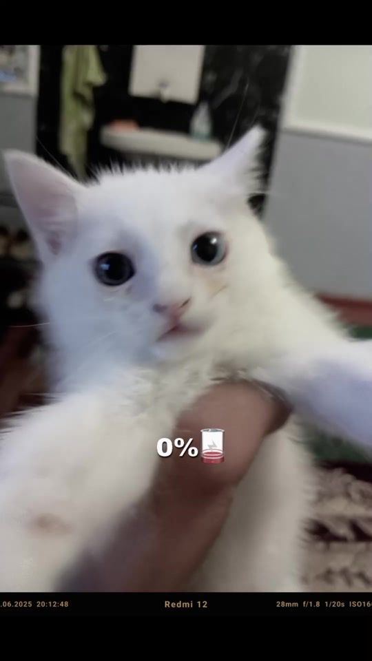 TikTok video thumbnail by suhrap__lite01