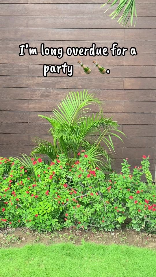 TikTok video thumbnail by k.segree