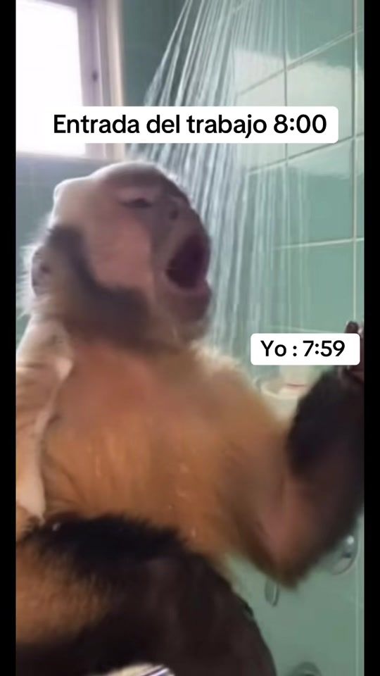 TikTok video thumbnail by _rivergtini