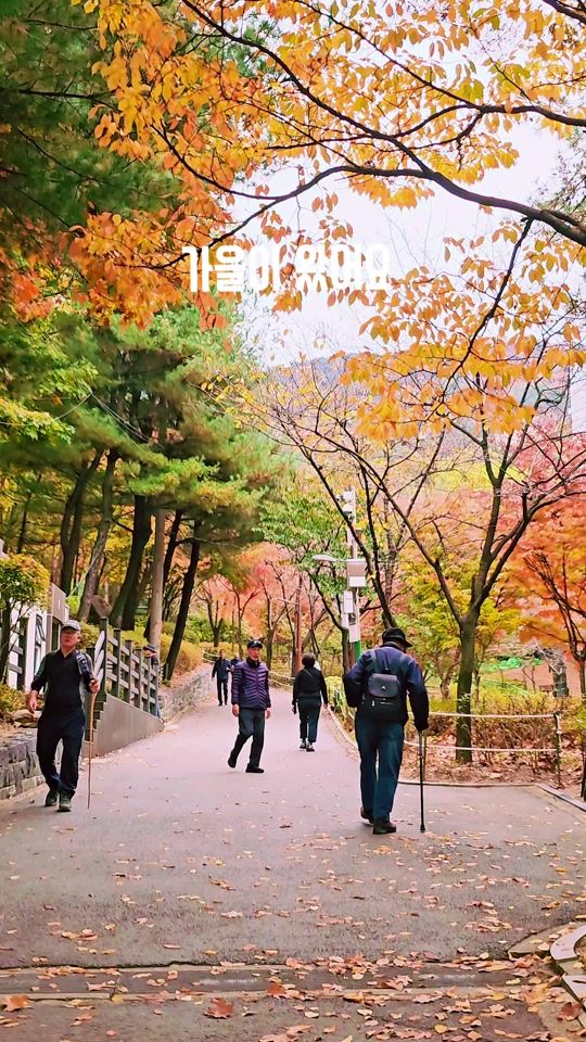 TikTok video thumbnail by happyday76087608