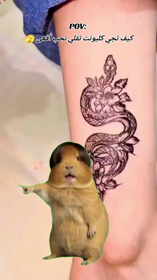 TikTok video thumbnail by henna.harkous26