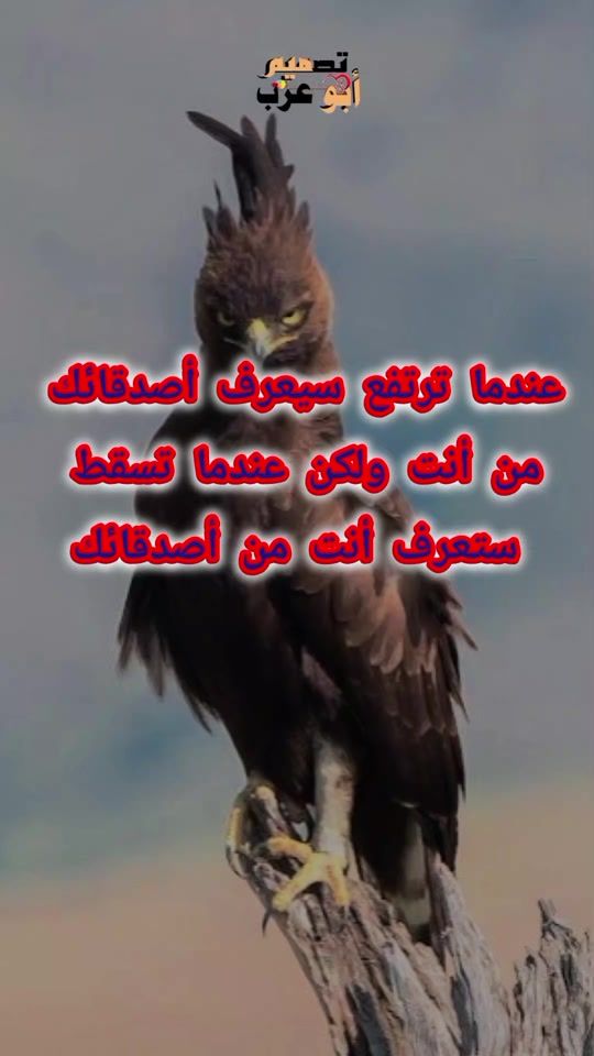 TikTok video thumbnail by alhadu32