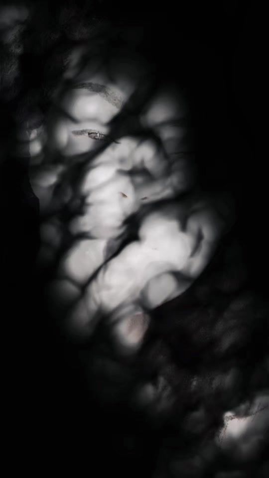 TikTok video thumbnail by haifaelbahi