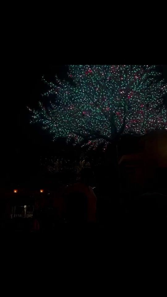 TikTok video thumbnail by cactus_ax
