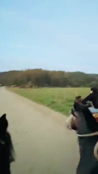 TikTok video thumbnail by ignaciavn_