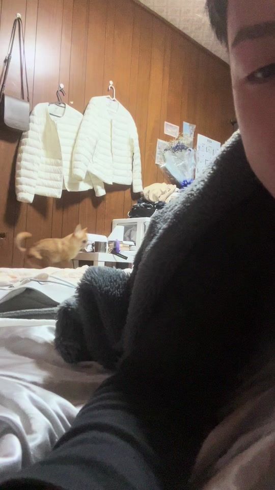 TikTok video thumbnail by ryusei119__323