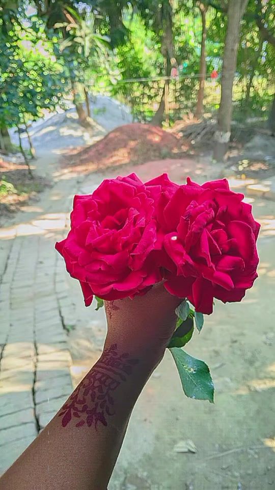 TikTok video thumbnail by shathi_akter183