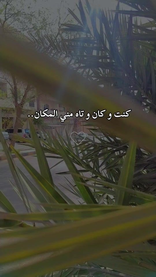 TikTok video thumbnail by shamsalgrob0