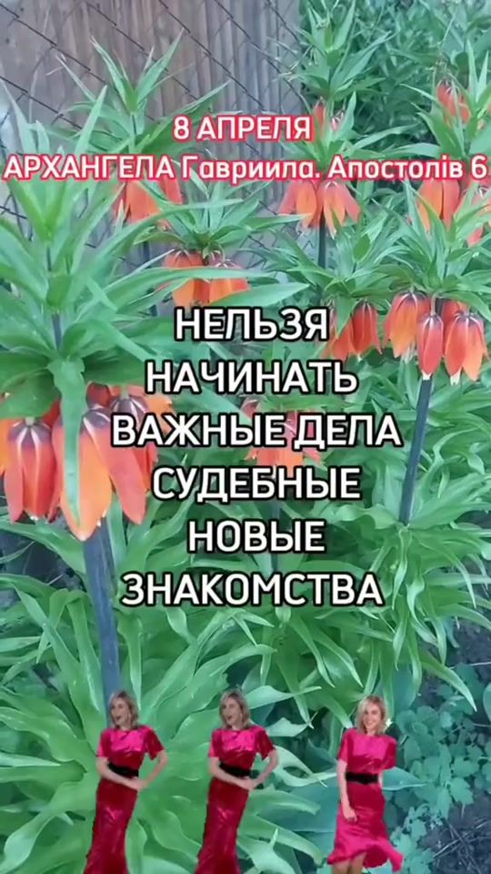 TikTok video thumbnail by zanneta48