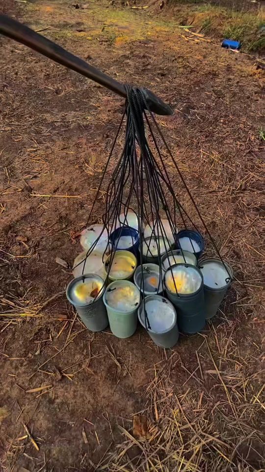 TikTok video thumbnail by sivsamnangkh