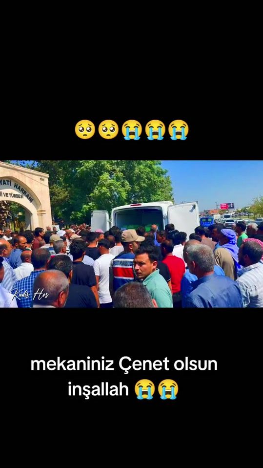 TikTok video thumbnail by dertli_cocuk63