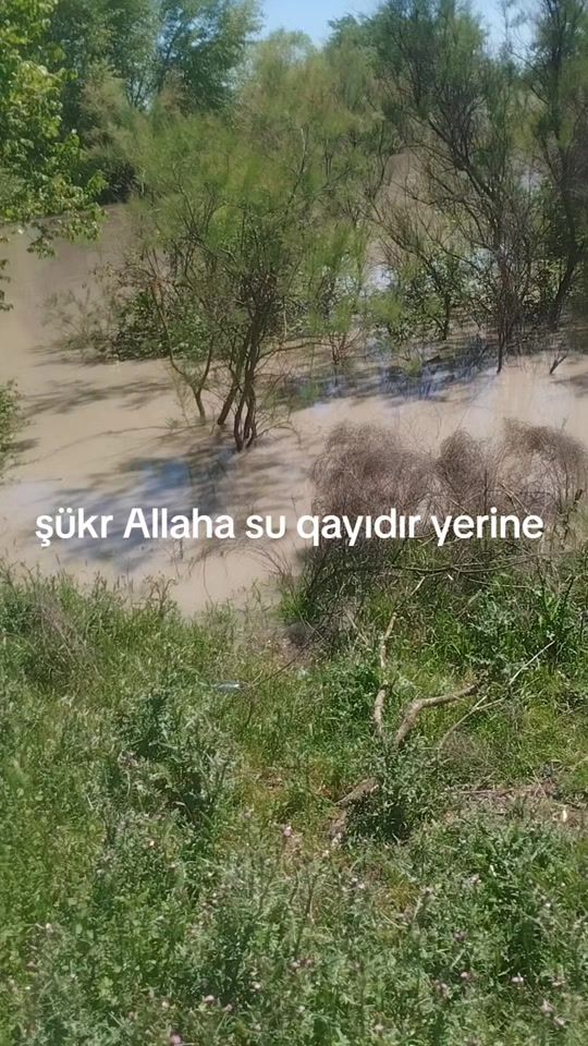 TikTok video thumbnail by faridyediyarov