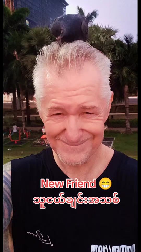 TikTok video thumbnail by teacher_steve