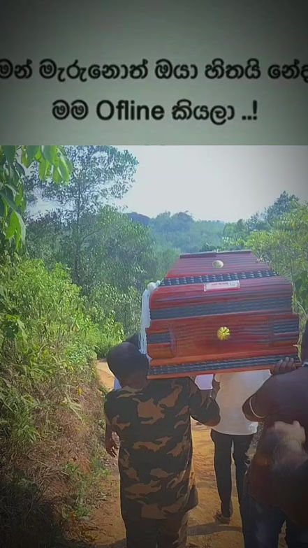 TikTok video thumbnail by lsanka5