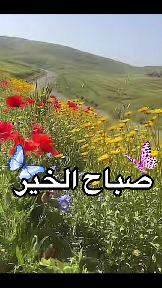 TikTok video thumbnail by omfarouk_7