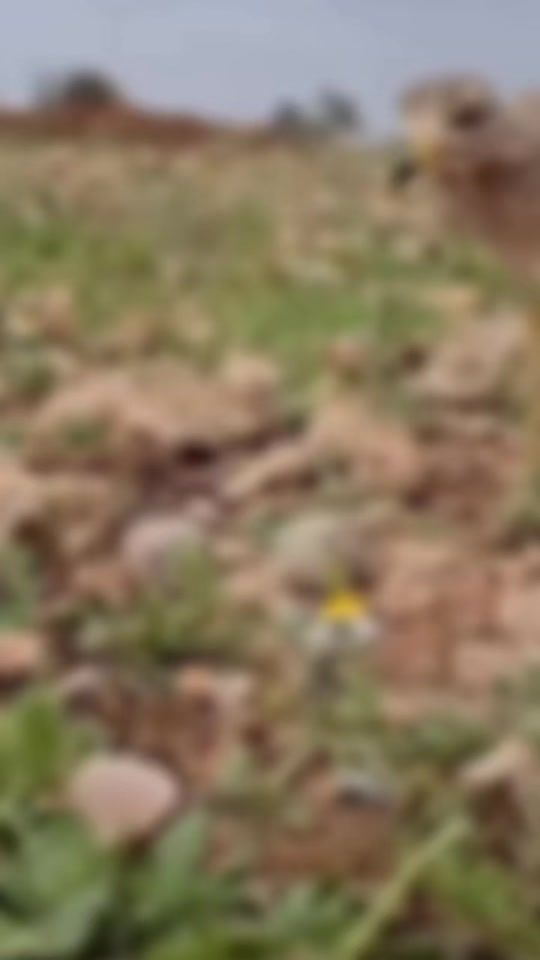 TikTok video thumbnail by alobaidi13