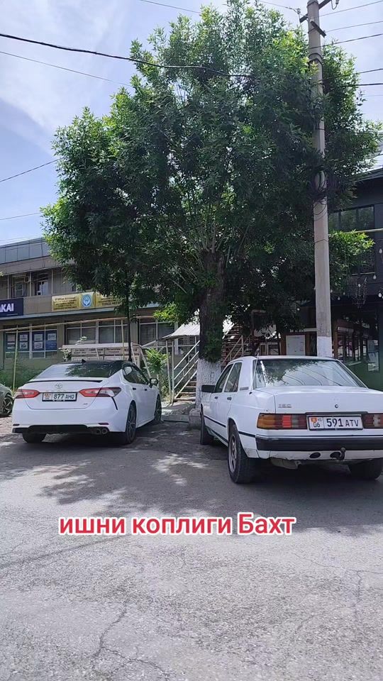 TikTok video thumbnail by zapravka.moneta