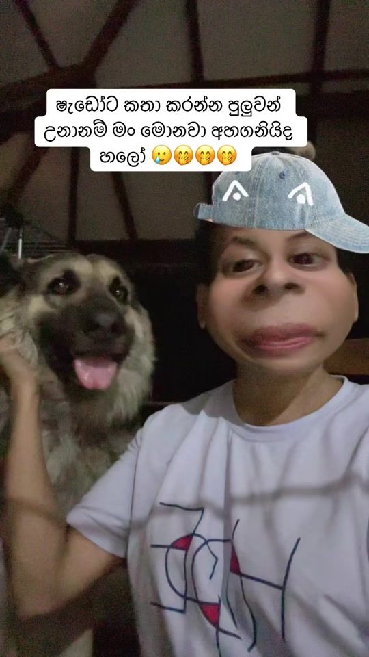 TikTok video thumbnail by shadow_gsd_pup